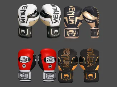  Boxing Punch Gloves Collection(1) 