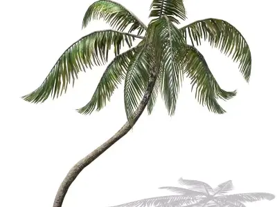 Palm -00007 Low-poly 3D model