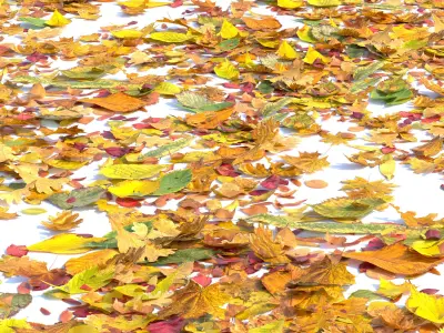 Autumn leaves Low-poly 3D model
