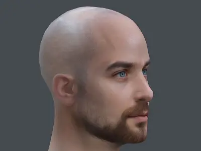 Male head Realistic Perfect Head Low-poly 3D model game ready  Low-poly 3D model