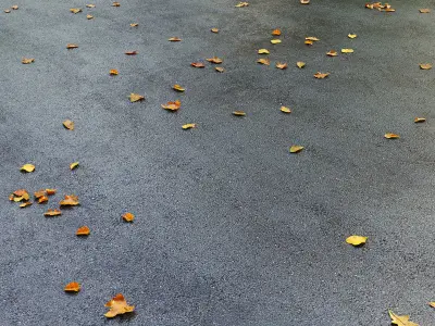 Wet asphalt with leaves 3D model