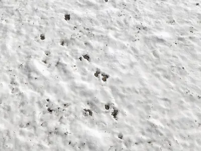 Snow ground Scan 10k 3D model