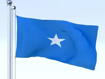 Animated Somalia Flag Low-poly 3D model