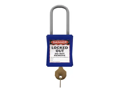 Locked Out Lock 3D model