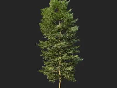 All Trees Collection 3D Model Pack