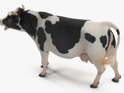  Animated Cow Collection for Cinema 4D 