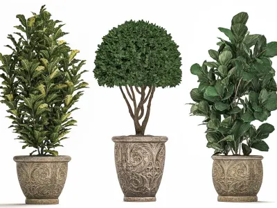 Trees in classic flowerpots for the street parks and garden 493 3D model