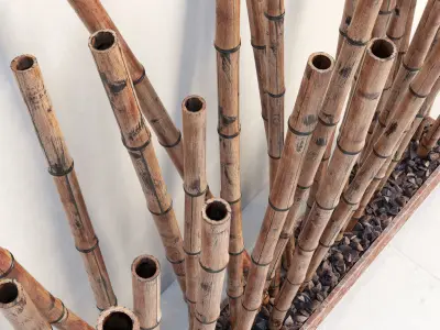 Bamboo decor fundament random 3D model