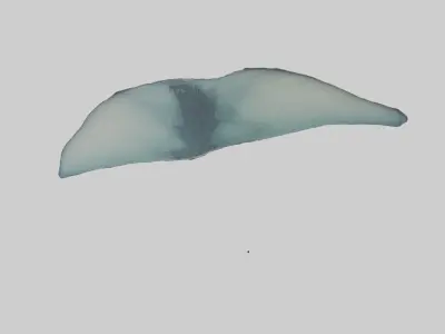 Manta Ray gliding underwater model Low-poly 3D model