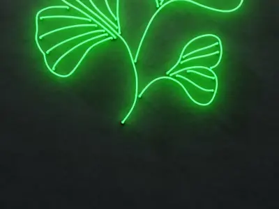 Neon 3D Model 21 - Leaf 3 3D model