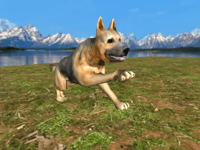 German Shepherd Dog  Animated Rigged 3d model 3D model