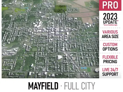 Mayfiled Low-poly 3D model