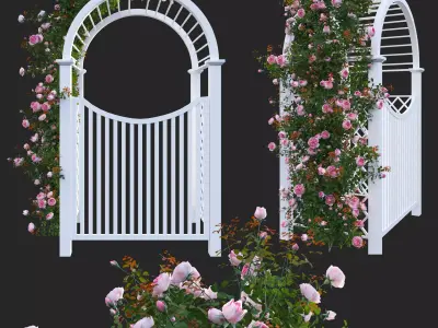 Climbing Rose - Rose Gate 3D model
