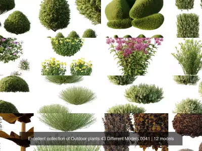 Excellent collection of Outdoor plants 43 Different Models 0041 3D Model Pack
