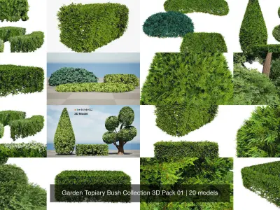 Garden Topiary Bush Collection 3D Pack 01
