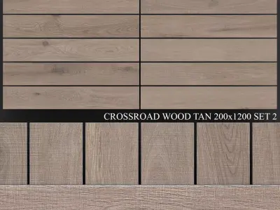 ABK Crossroad Wood Tan 200x1200 Set 2 3D model