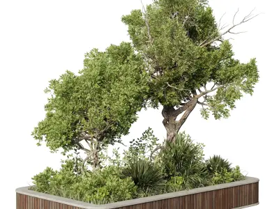 Wooden Box Plant Garden  - Outdoor Plants set 194 3D model