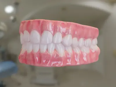 Teeth  Low-poly 3D model