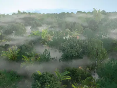 tropical rainforest 3D model