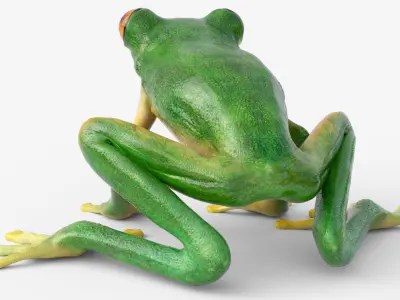  Idle Tree Frog Animated Rigged for Blender 