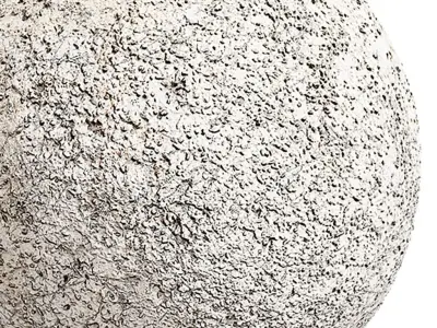 Plaster Seamless Texture 2K - EXR 5 - JPG 5 Texture Texture