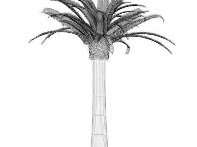 Pineapple Palm 3D model