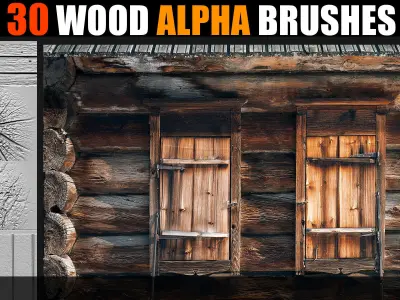 30 Packs of Alpha Wood Brushes For Blender And ZBrush - Vol 01 3D model