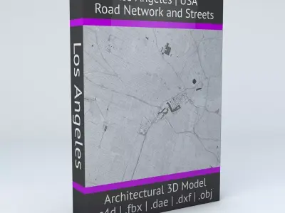 Los Angeles Road Network and Streets 3D model