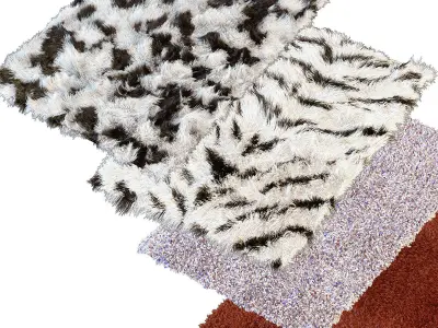 Carpets shag rug 3D model