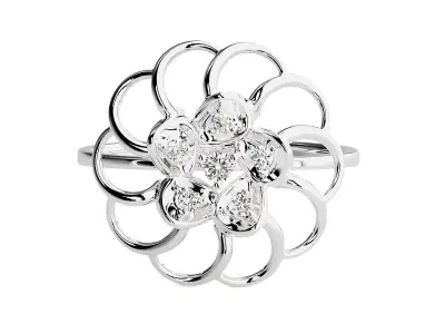 Ring - 89 3D print model