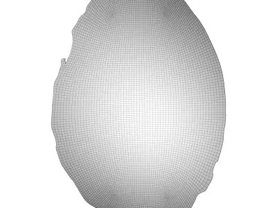 Marble Carpet Azalea Low-poly 3D model