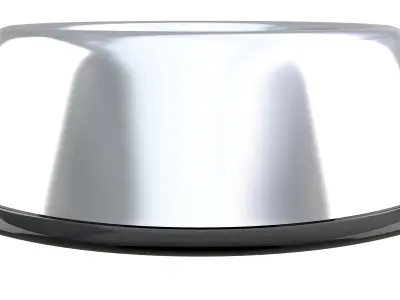 Stainless Steel Dog Bowl 3D model