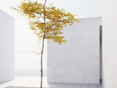 Small Autumn tree vpt027 3D model