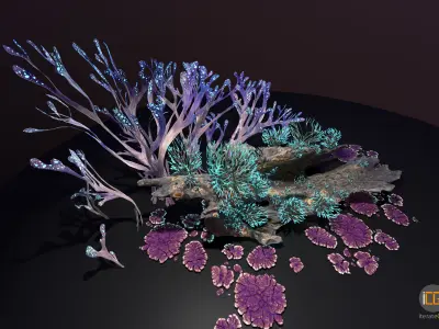 Alien Plant Fungus collection 1 Low-poly 3D model