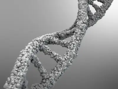 DNA strand 3D model
