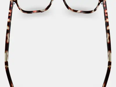 Vaughan Eyeglasses in Burnt Lemon Tortoise 3D model