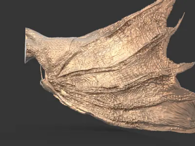 Arch Angel And Arch Dragon wings  3D print model