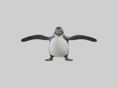 Galapagos Penguin sliding model Low-poly 3D model