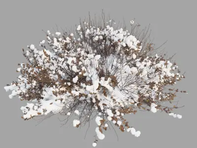 Rocks and plants in snow 3D model
