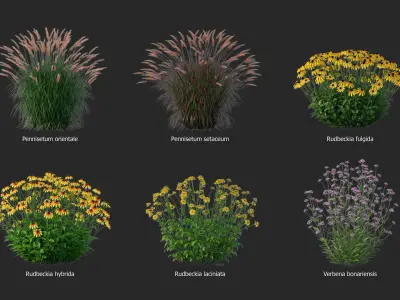 XfrogPlants HDPlants 3 3D model