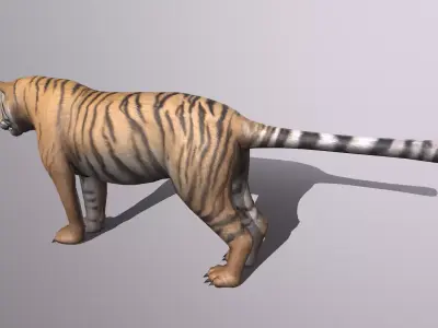 Tiger Low-poly 3D model