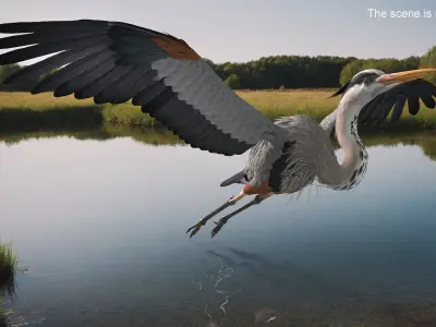  Flying Heron 