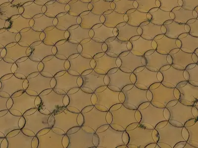 Interlocking Circle Pavers with Weeds Texture