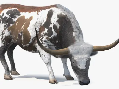  Farm Animals Big Rigged Collection 5 