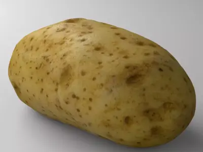 Potato - Photorealistic Scan Low-poly 3D model