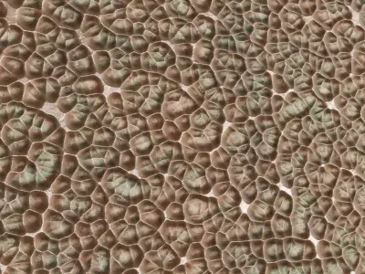 Antique Scalloped Hammered Bronze PBR Seamless Texture