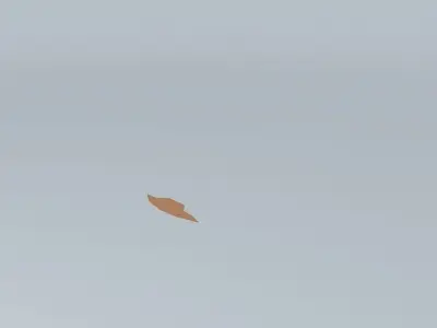 Paved driveway Free 3D model