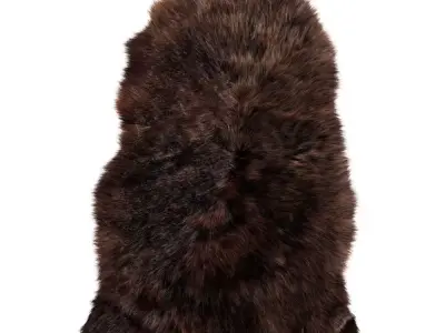Animal skin rug 04 3D model