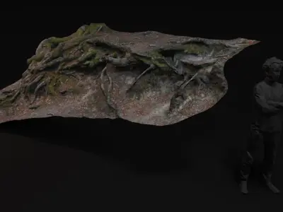 Beech forest ground - 2 of 6 - scan PBR Game ready Low-poly 3D model