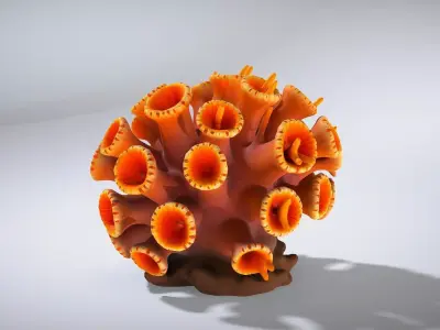 Vibrant Tubastraea Coral Colony Low-poly 3D model